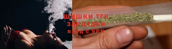 индика Нефтекумск