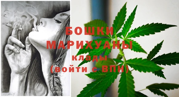 гидра Вязьма