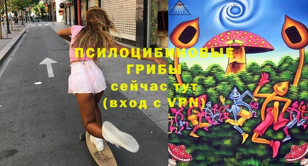 стафф Вяземский