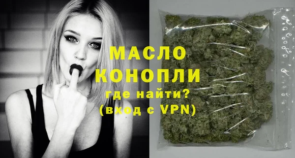 гидра Вязьма