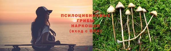 гидра Вязьма