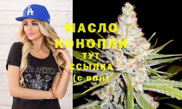 стафф Вяземский