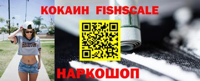 шишки Камышлов