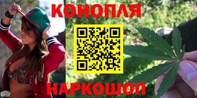 шишки Камышлов