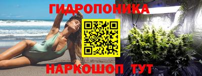 ГАЛЛЮЦИНОГЕННЫЕ ГРИБЫ Канаш