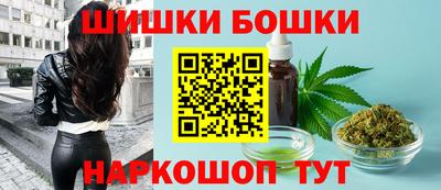 шишки Камышлов