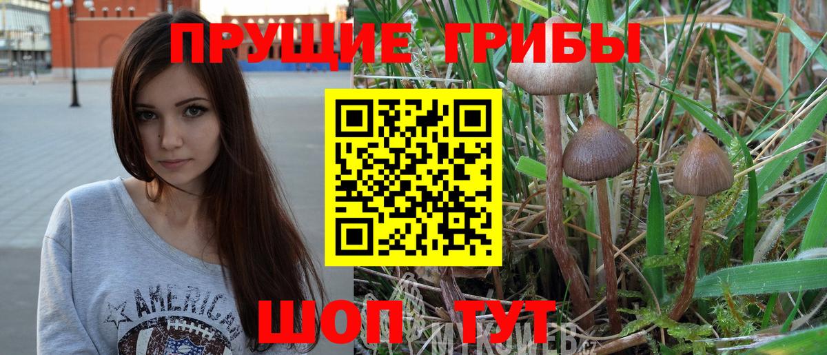 Псилоцибиновые грибы Magic Shrooms Острогожск